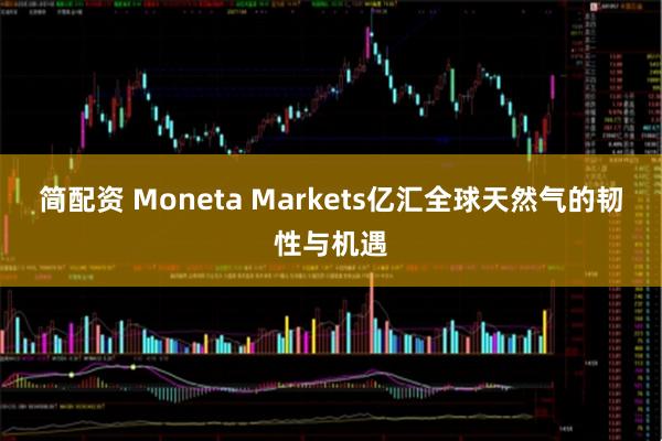 简配资 Moneta Markets亿汇全球天然气的韧性与机遇